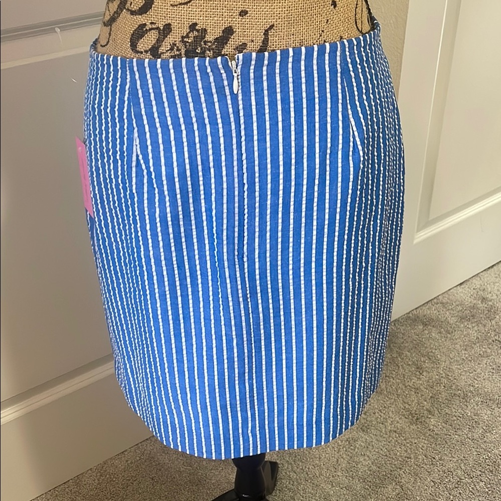 NWT Rae & Riley Blue Striped Skirt. 8 - Picture 3 of 6